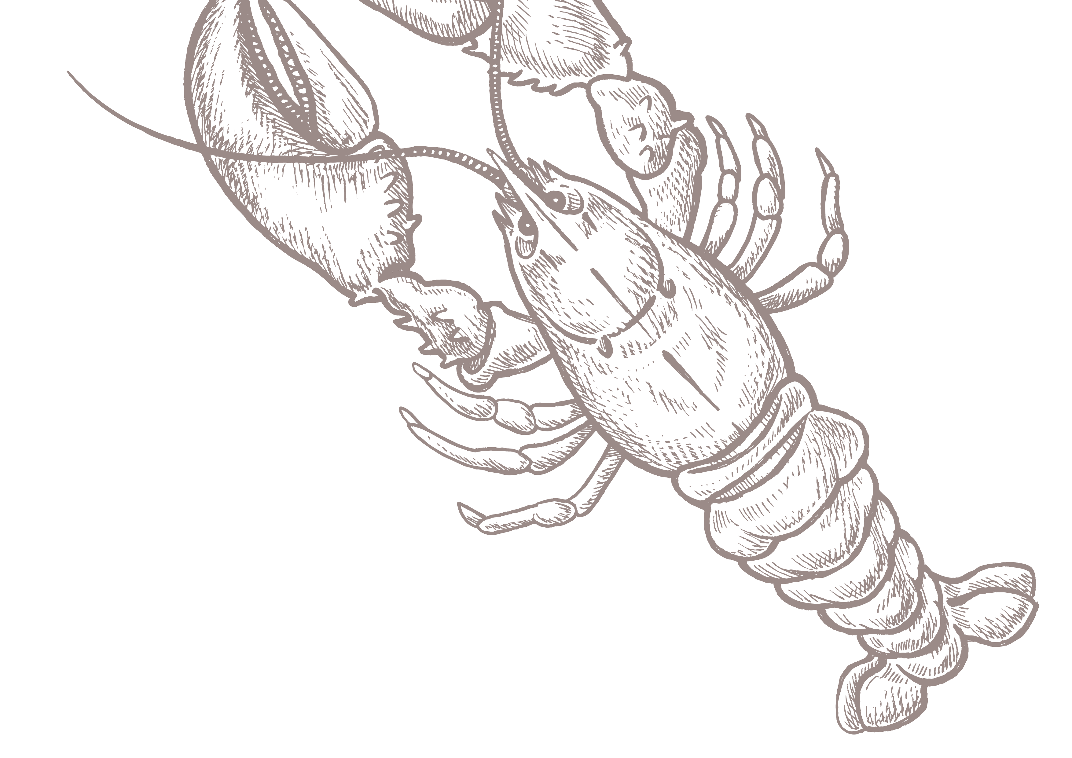 Seafood background